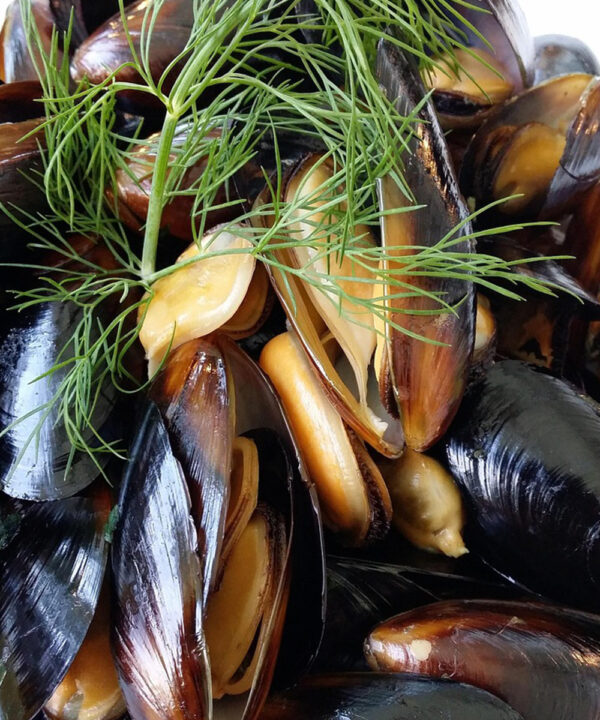 Moules Bouchot AOP du Mont Saint Michel (prix au kg)